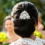 Hair-Clip2 Hair-Clip2